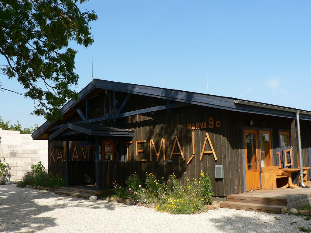 Hostel Kalameeste Maja Mustvee Exterior foto